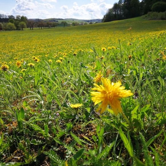 Profile - Picture 11 of 15